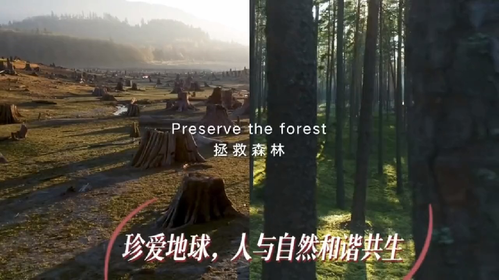 以改变 致地球